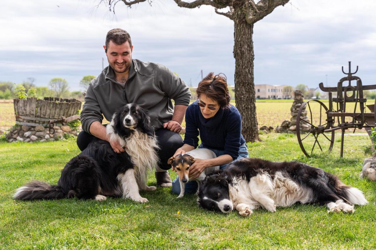 Agriturismo Pozzo Fiorito Castiglione Delle Stiviere Bagian luar foto