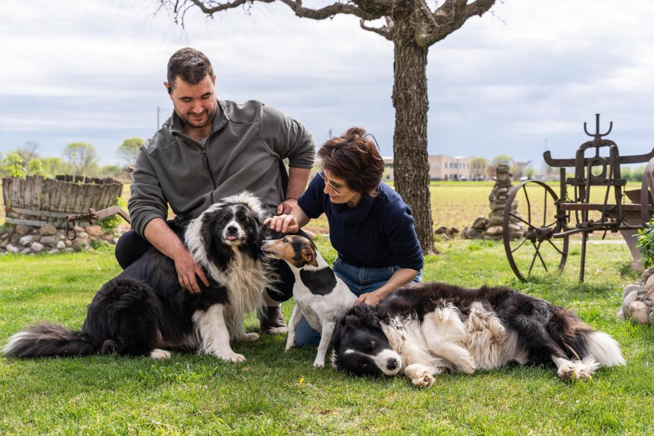 Agriturismo Pozzo Fiorito Castiglione Delle Stiviere Bagian luar foto