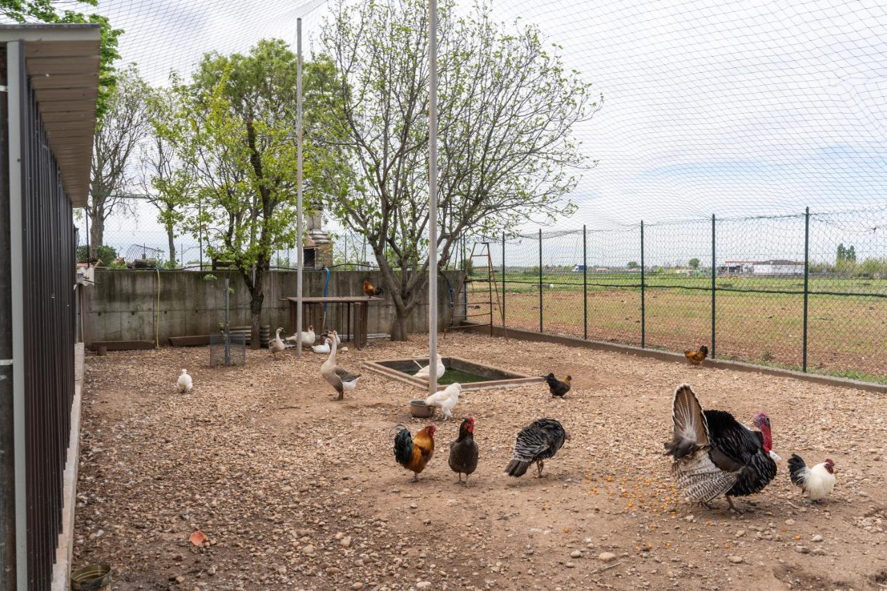 Agriturismo Pozzo Fiorito Castiglione Delle Stiviere Bagian luar foto