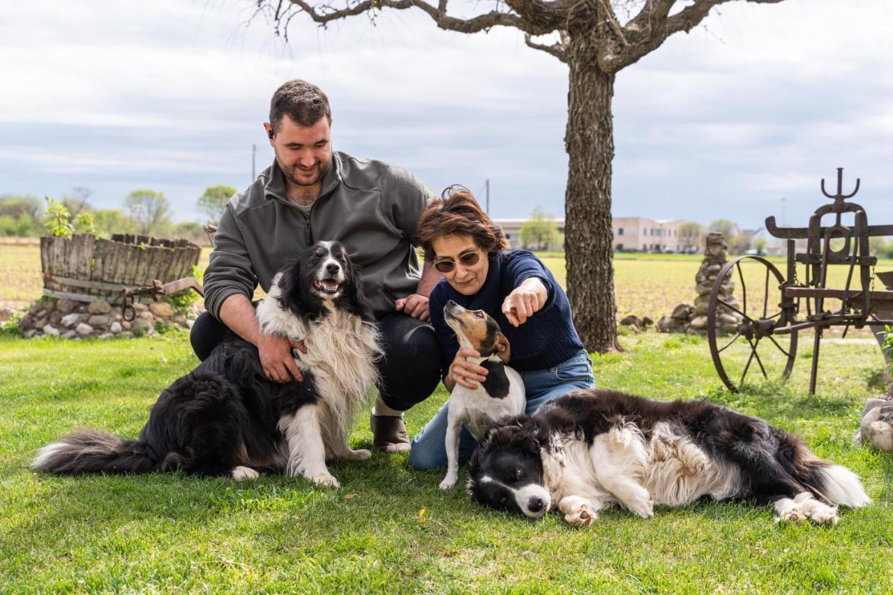 Agriturismo Pozzo Fiorito Castiglione Delle Stiviere Bagian luar foto