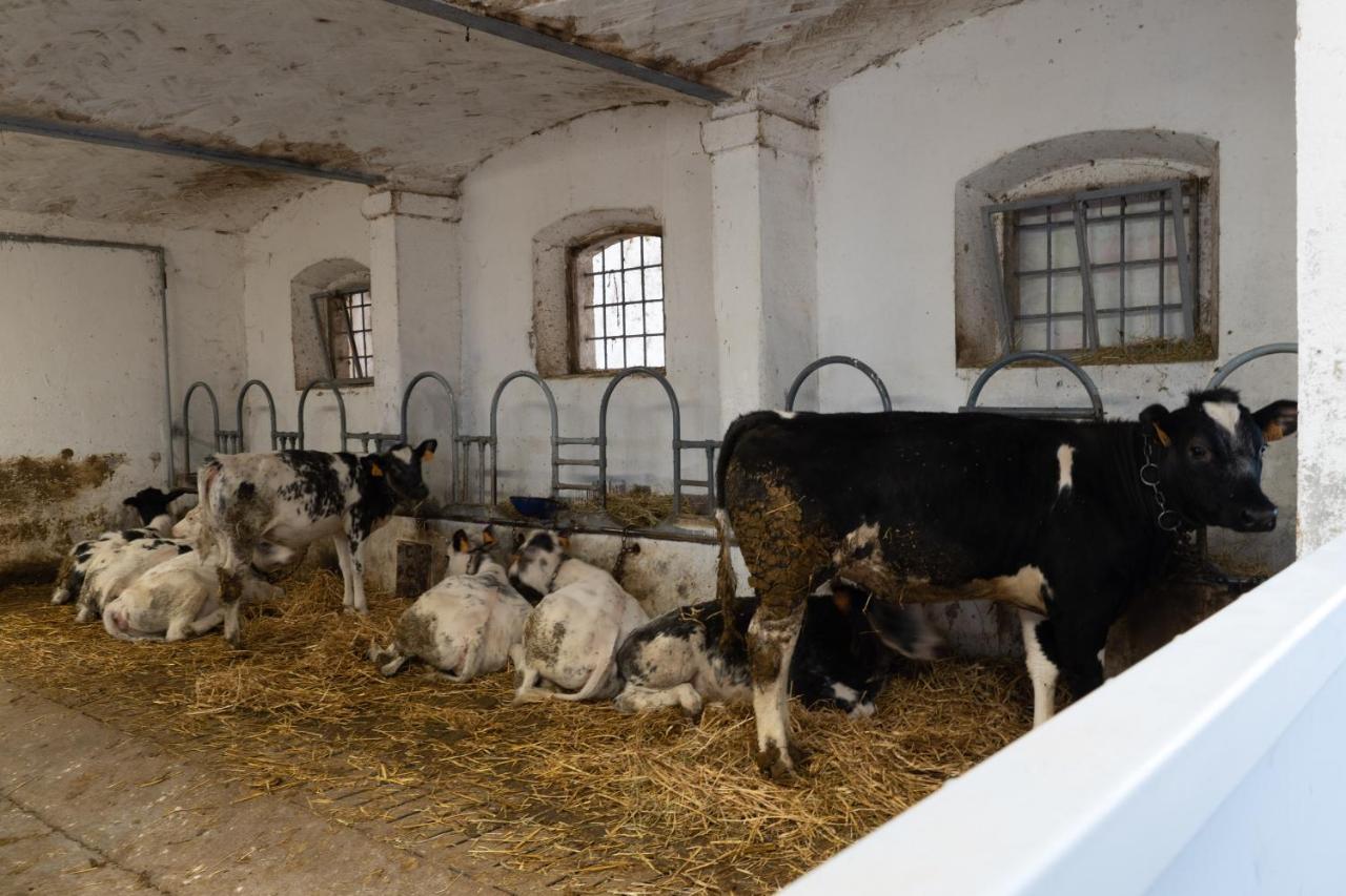 Agriturismo Pozzo Fiorito Castiglione Delle Stiviere Bagian luar foto